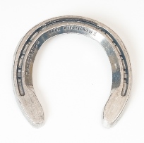 Thorobred Lite Champion II Clipped      